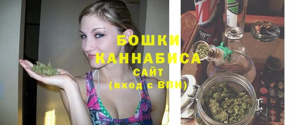 mix Надым
