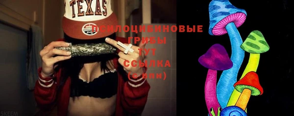 mix Надым