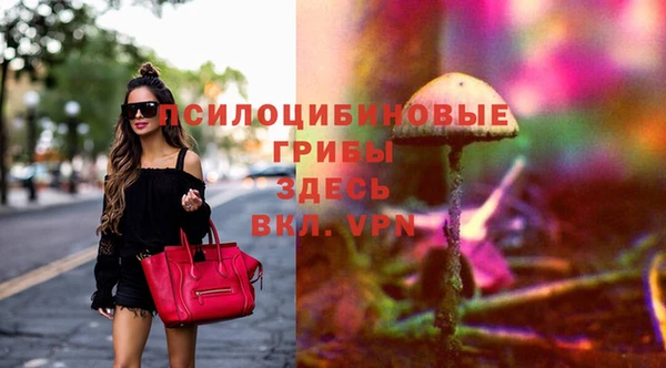 mix Надым
