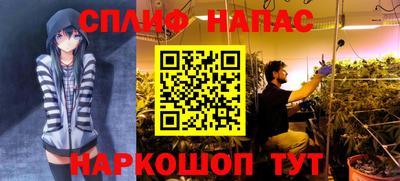 СК Балаково