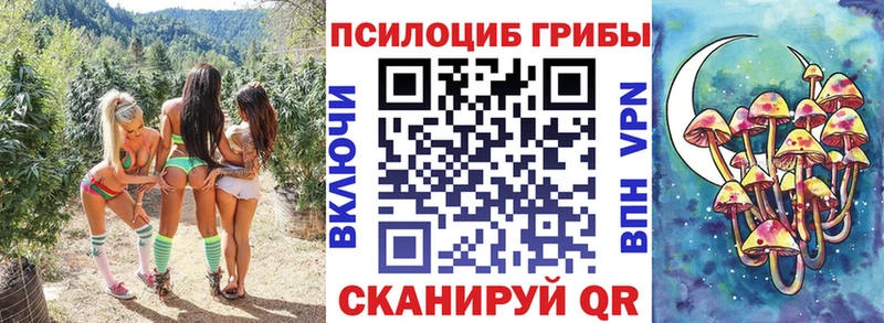 Псилоцибиновые грибы Cubensis  Костомукша 