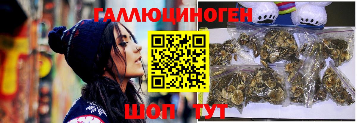 Галлюциногенные грибы Psilocybe Костомукша