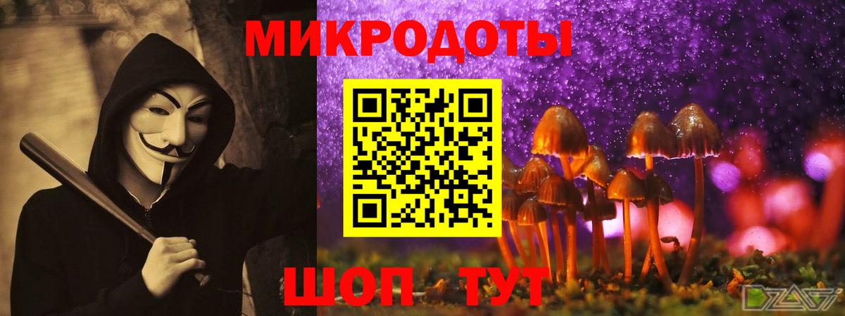 закладки  Вход с VPN  Костомукша  Галлюциногенные грибы мицелий 
